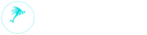 Pez Gallo Sushi & Cevichería